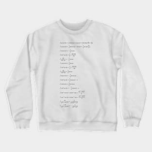 Indefinite Integral Crewneck Sweatshirt